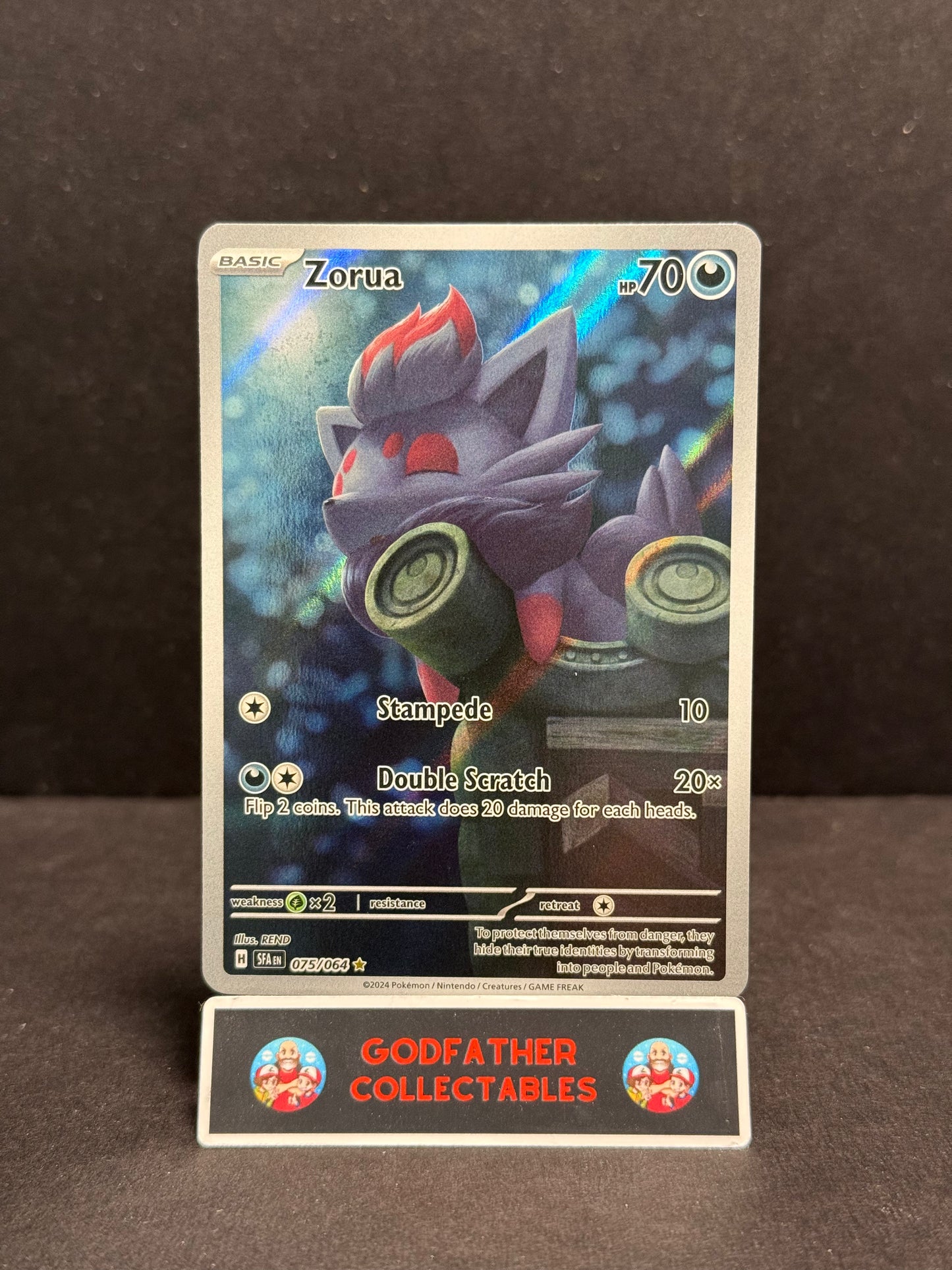Zorua 075/064 / Illustration Rare